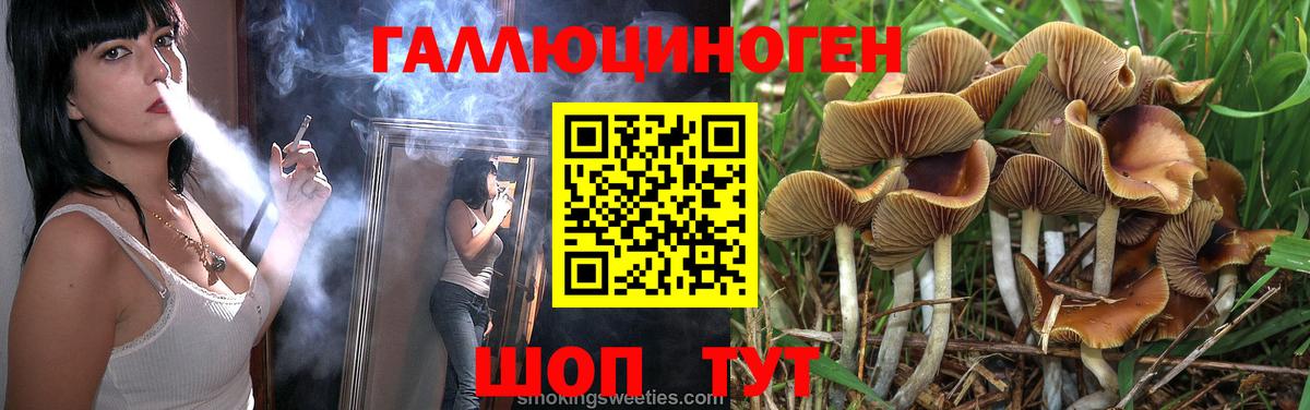 Сухой Лог  Галлюциногенные грибы MAGIC MUSHROOMS  Псилоцибиновые грибы Psilocybe  Вход с VPN 